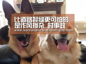 KAIYUN SPORTS
